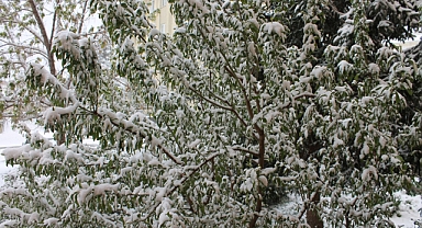 Kar Yağışı ve Soğuk Havaya Dikkat!