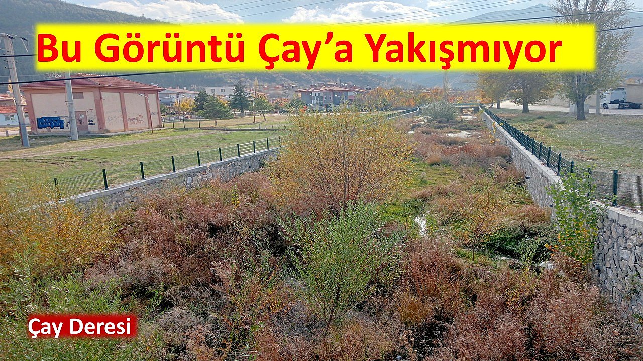 Bu Görüntü Çay’a Yakışmıyor