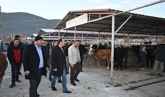Kaymakam Türker Hayvan Borsasını Ziyaret Etti