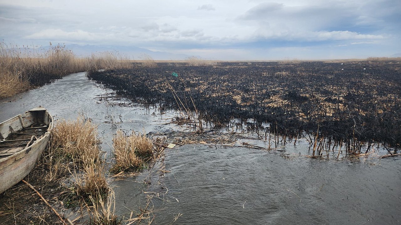 Eber Gölü Bilinçlimi Yakılıyor!!!