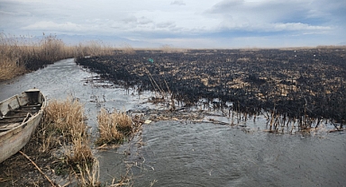 Eber Gölü Bilinçlimi Yakılıyor!
